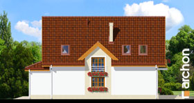 Maja silmarohus vaade