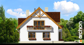 Maja silmarohus vaade