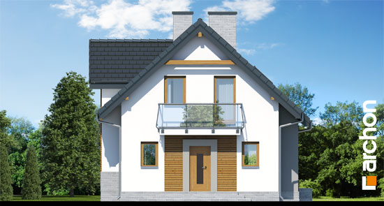 Maja viinapuudes (PN) vaade