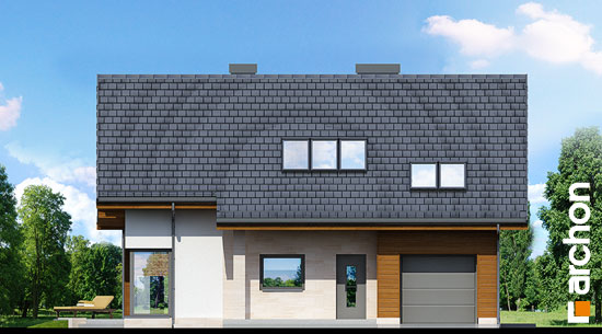 Maja sinivihmades (P) vaade