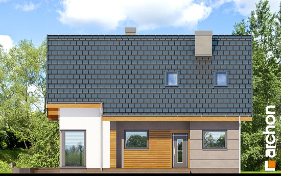 Maja sinivihmades 2 (W) vaade