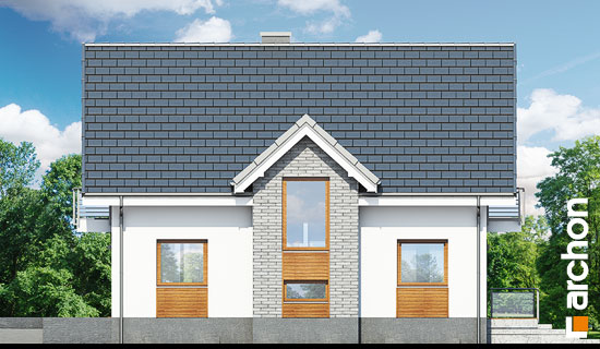 Maja luudpõõsastes (N) vaade