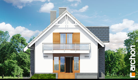 Maja luudpõõsastes (N) vaade