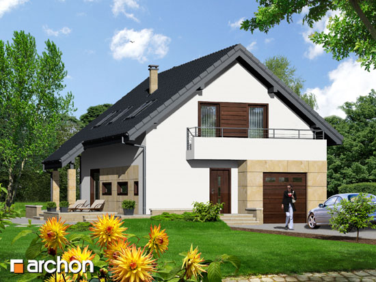 Projekt - Dom w avenach